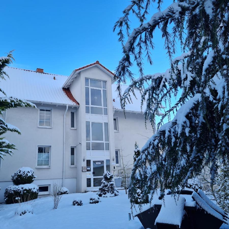 Pension Bergen Берген-ауф-Рюген Экстерьер фото